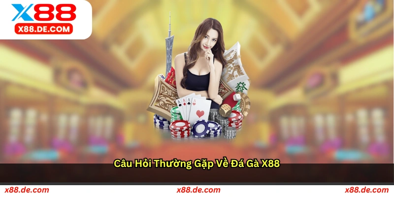 Câu hỏi thường gặp về đá gà X88